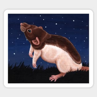 Agouti Hooded Rat Stargazing Sticker